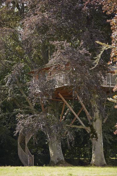 Deluxe Tree House