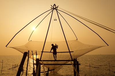 Chinese Fishing Nets