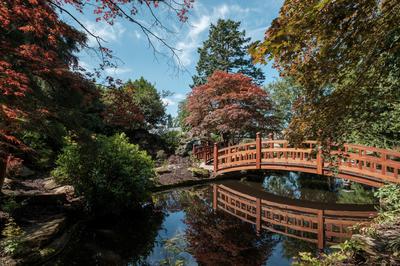 Japanese Garden