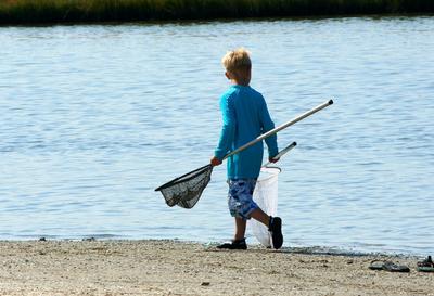 A Spot Of Crabbing