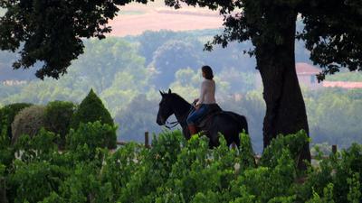 Horse Riding