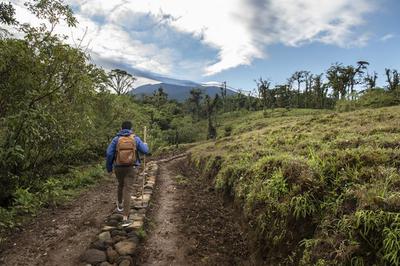 Hiking