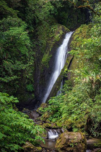 Waterfall Trails