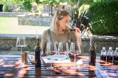 The Wine Center at Meadowood Estate
