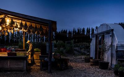 The Restaurant