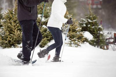 Snowshoeing