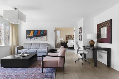 Oriole Suite