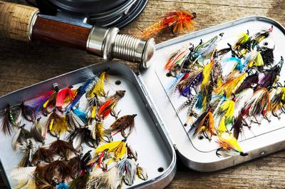 Intro to Fly Fishing