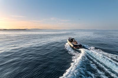 Boat Trips