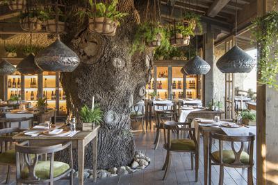 Trattoria sull’Albero Restaurant