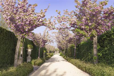 Gardens