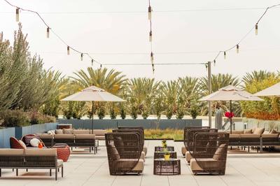 Rooftop Garden