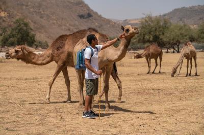 Camel Trekking