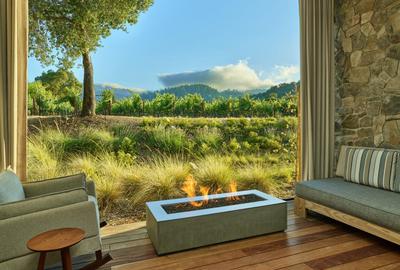 Vineyard View Room
