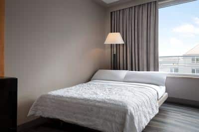 Executive King Guestroom Sofa Bed