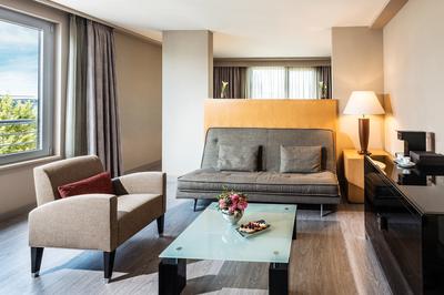 Deluxe Suite Living Area