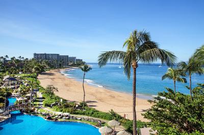 Ocean Front View