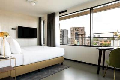Suite Guest Room