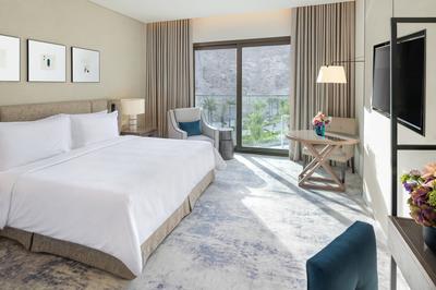 Deluxe Room Mountain View