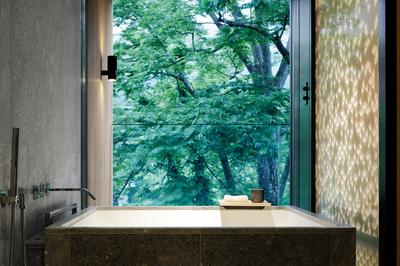 Mount Nantai View Room