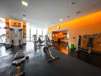 Sofitel Dubai Downtown image