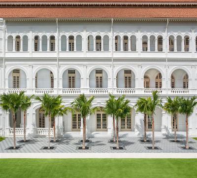 Palm Court View