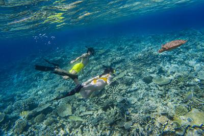 Snorkelling