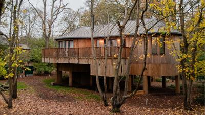 Luxury Two Bedroom Treehouse Suite