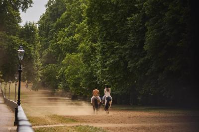 Horse Riding