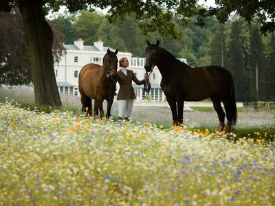 Equestrian