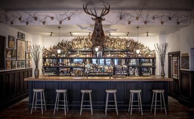The Flying Stag