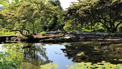 Ornamental Gardens