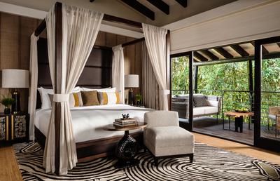 2-Bedroom Forest Suite
