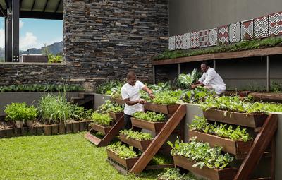 Chefs Garden
