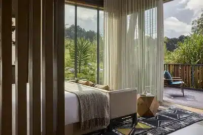 Silverback Suite