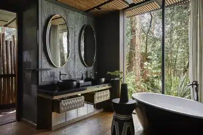 Virunga Suite