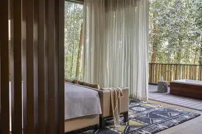 Ingagi Suite