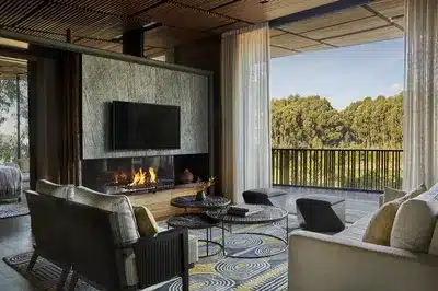Virunga Suite