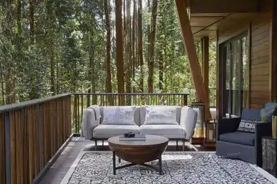Ingagi Suite