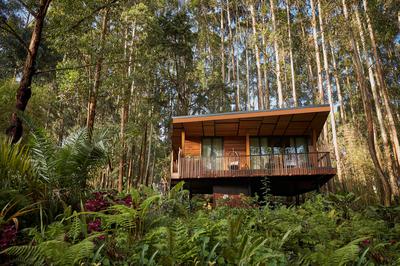 Forest Treehouse