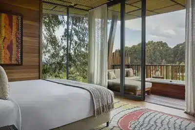 Virunga Suite