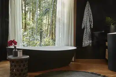 Ingagi Suite