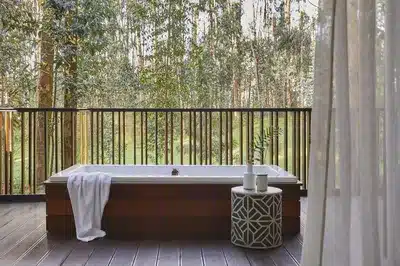 Ingagi Suite