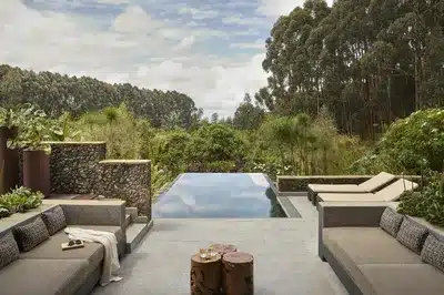 Silverback Suite