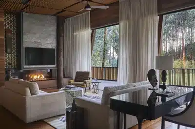 Ingagi Suite