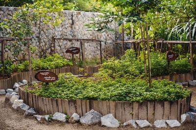 Chefs Garden
