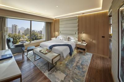 Premier Suite with Terrace