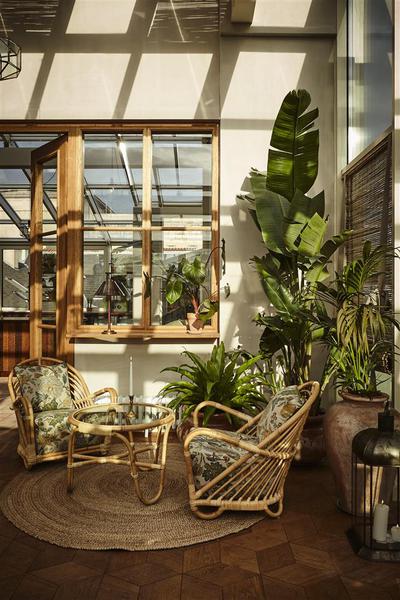 Roof terrace
