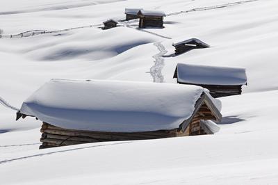 Winter View