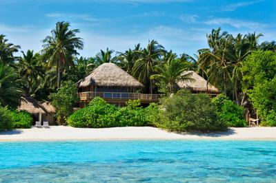 4-Bedroom Jungle Reserve with Pool (Villa 36)